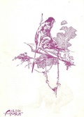 Cover: Amra, Vol 2, No 16 - Wildside Press