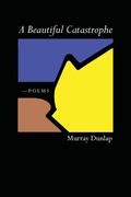 Cover: A Beautiful Catastrophe - Wipf & Stock Publishers