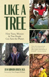 Enlarge image Cover: Like a Tree - Mango Media