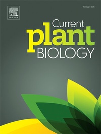 Abbildung von: Current Plant Biology - Elsevier