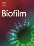 Bild: Biofilm - Elsevier