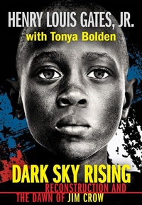 Enlarge image Cover: Dark Sky Rising: Reconstruction and the Dawn of Jim Crow (Scholastic Focus) - Scholastic US