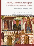 Cover: Tempel, Lehrhaus, Synagoge - Brill Deutschland