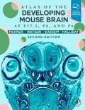 Cover: Atlas of the Developing Mouse Brain - Academic Press