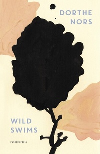 Enlarge image Cover: Wild Swims - Pushkin Press