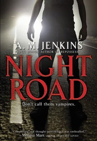 Enlarge image Cover: Night Road - HarperCollins