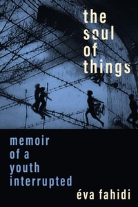 Enlarge image Cover: The Soul of Things - University of Toronto Press