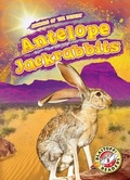 Cover: Antelope Jackrabbits - Blastoff! Readers