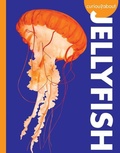 Cover: Curious about Jellyfish - AMICUS INK