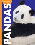 Cover: Curious about Pandas - AMICUS INK