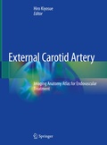 Cover: External Carotid Artery - Springer