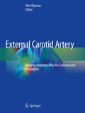 Cover: External Carotid Artery - Springer