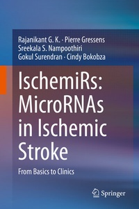Abbildung von: IschemiRs: MicroRNAs in Ischemic Stroke - Springer