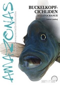 Bild: Buckelkopfcichliden - Natur und Tier