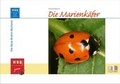 Cover: Die Marienk&auml;fer - Militzke Verlag GmbH