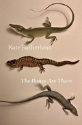 Cover: The Bones Are There - Book*hug