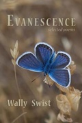 Cover: Evanescence - SHANTI ARTS LLC