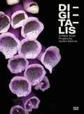 Cover: Achim Mohn&eacute; - Hatje Cantz Verlag