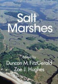 Enlarge image Cover: Salt Marshes - Cambridge University Press