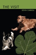 Cover: The Visit - Lulu Press Inc