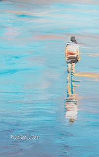 Abbildung von: Washed away - Nooobooks