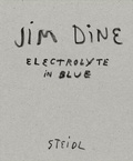 Cover: Electrolyte in Blue - Steidl