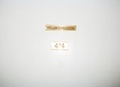 Cover: William Eggleston 414 - Steidl