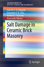 Cover: Salt Damage in Ceramic Brick Masonry - Springer