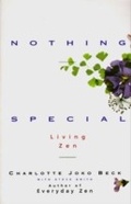 Cover: Nothing Special - HarperCollins