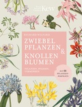 Cover: Zwiebelpflanzen & Knollenblumen - Haupt Verlag