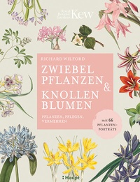 Abbildung von: Zwiebelpflanzen & Knollenblumen - Haupt Verlag