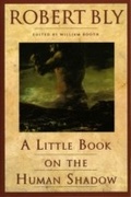 Cover: A Little Book on the Human Shadow - HarperCollins