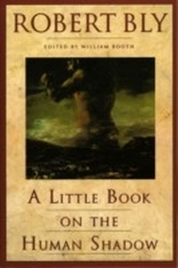 Enlarge image Cover: A Little Book on the Human Shadow - HarperCollins