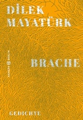 Cover: Brache - Hanser Berlin