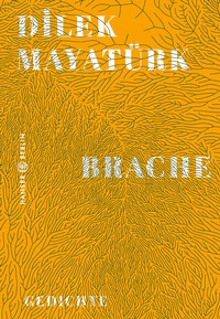 Abbildung von: Brache - Hanser Berlin