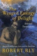 Cover: The Winged Energy of Delight - HarperCollins