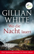 Cover: Wo die Nacht lauert: Drei Spannungsromane in einem eBook - dotbooks