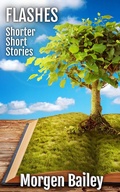 Cover: Flashes ~ Shorter Short Stories (Morgen Bailey's Short Story Collections) - August Publishing UK
