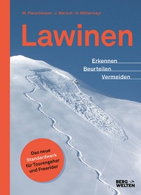 Abbildung von: Lawinen - BERGWELTEN