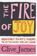 Cover: The Fire of Joy - Picador