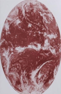 Enlarge image Cover: Tools for Extinction - Lolli Editions