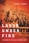 Cover: Labor Under Fire - The University of North Carolina Press