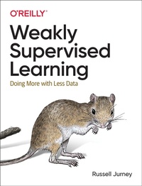 Enlarge image Cover: Practical Weak Supervision - O'Reilly
