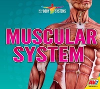 Enlarge image Cover: Muscular System - Av2