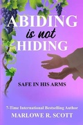Cover: Abiding is Not Hiding - Pearly Gates Publishing LLC