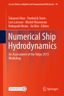 Cover: Numerical Ship Hydrodynamics - Springer