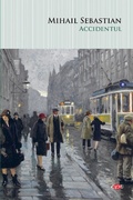 Cover: Accidentul - Litera Media Group