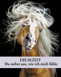 Abbildung von: Die Zeit. Du siehst aus, wie ich mich fühle - Knaur