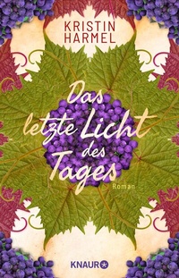 Abbildung von: Das letzte Licht des Tages - Knaur