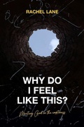Cover: Why Do I Feel Like This? - Christian Focus 4Kids